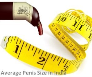 Average Penis Size in India