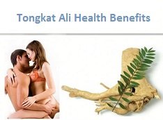 Benefits of Tongkat Ali for Sex & Penis