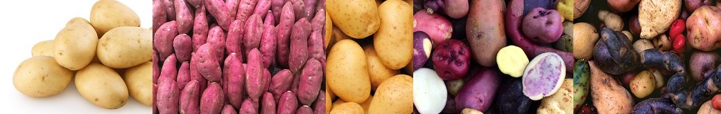 Potatoes For Gain Weight