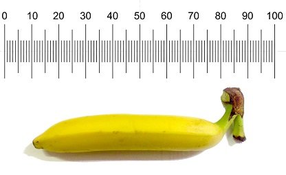 Small Penis Size Sex Medicine