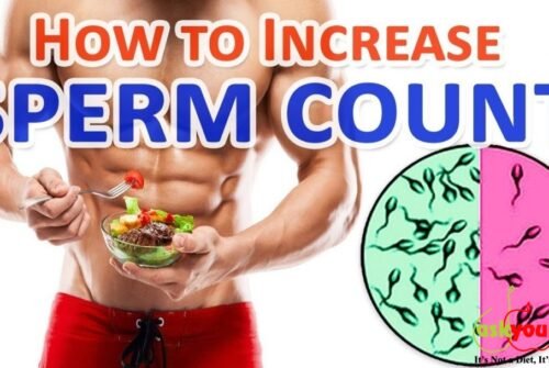 Foods To Increase Sperm Count