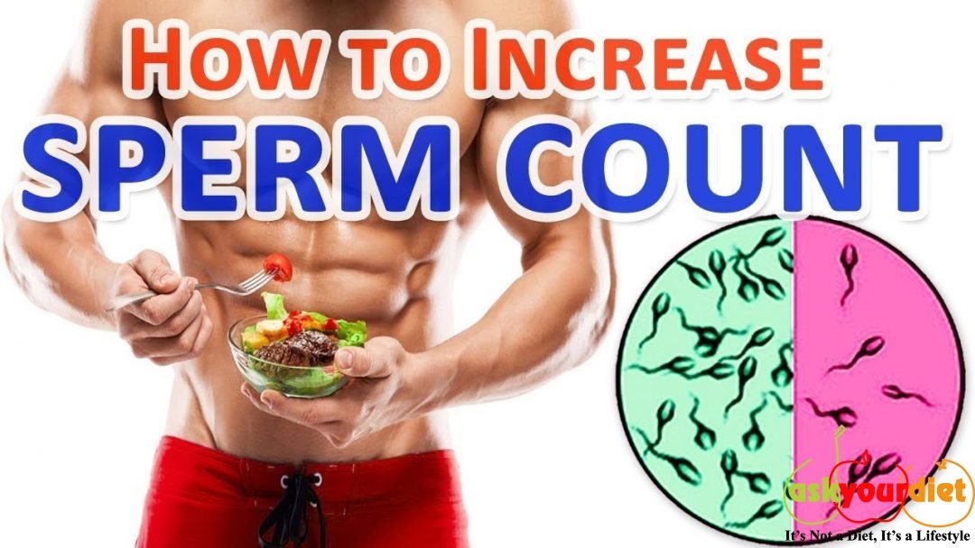 Foods To Increase Sperm Count