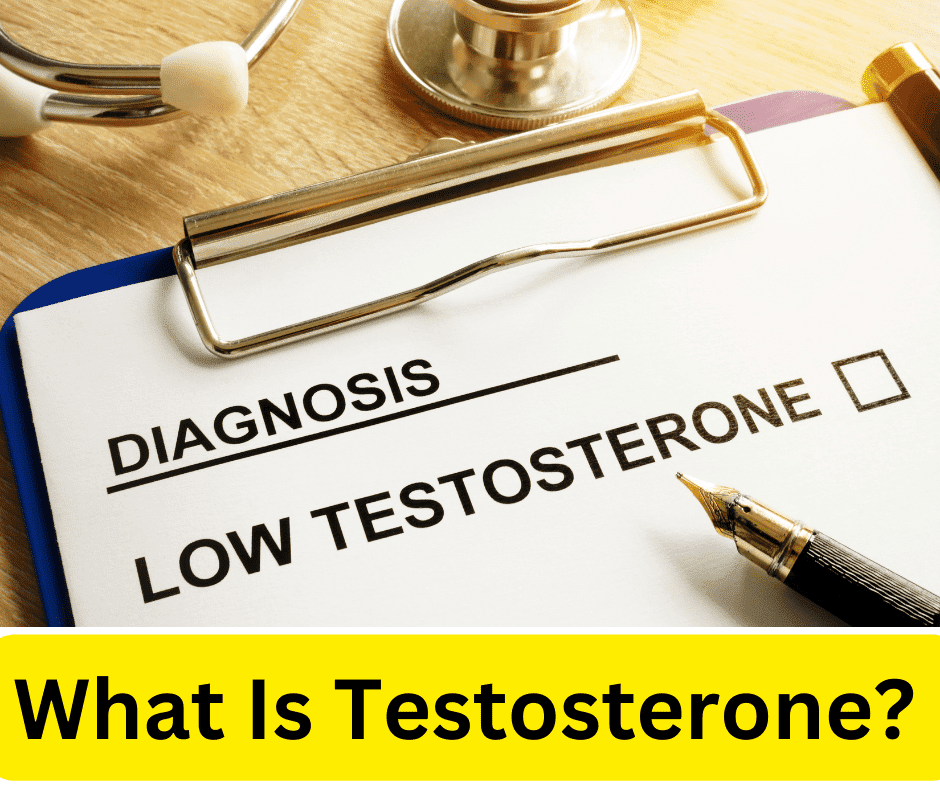 What Is Testosterone How To Increase  Testosterone